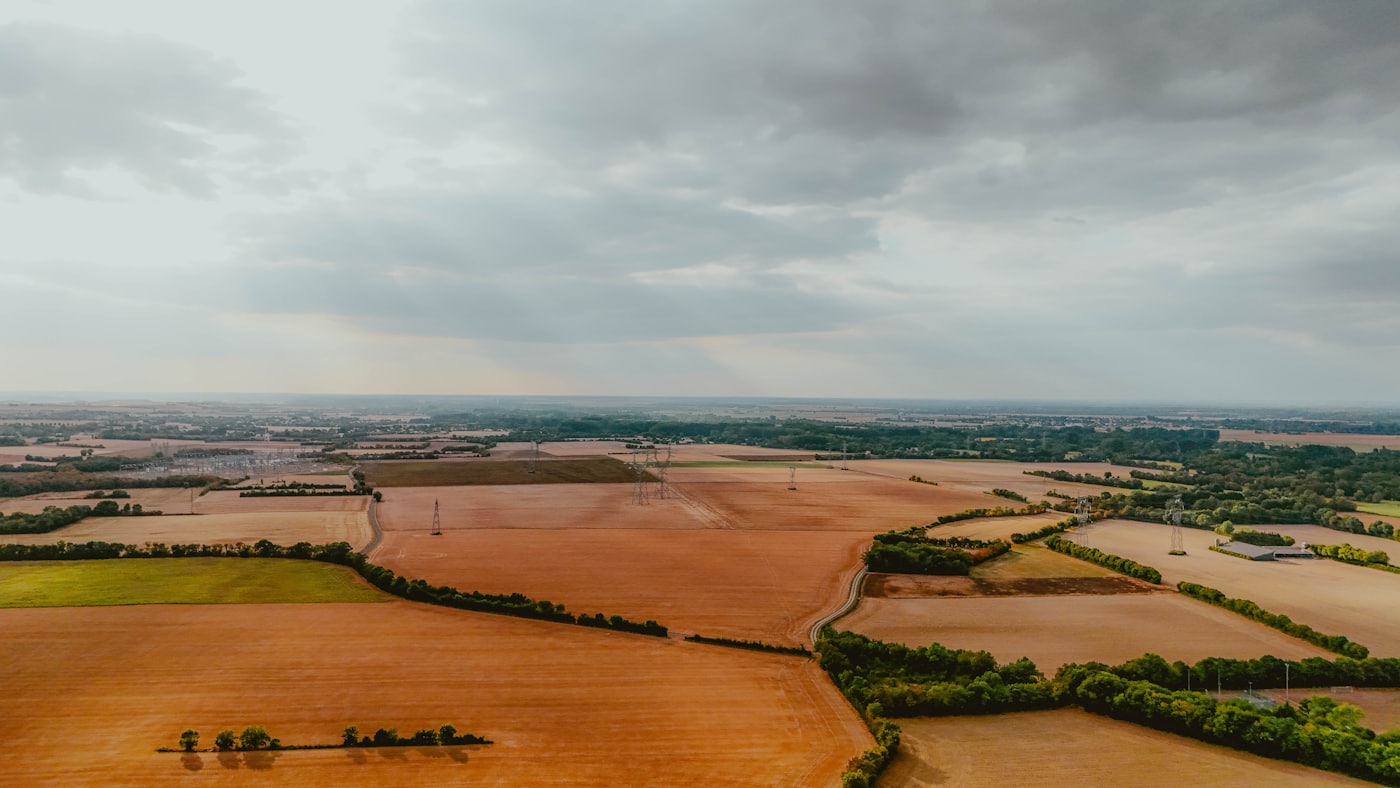 Cultivated farmland in even rows stretching to the horizon